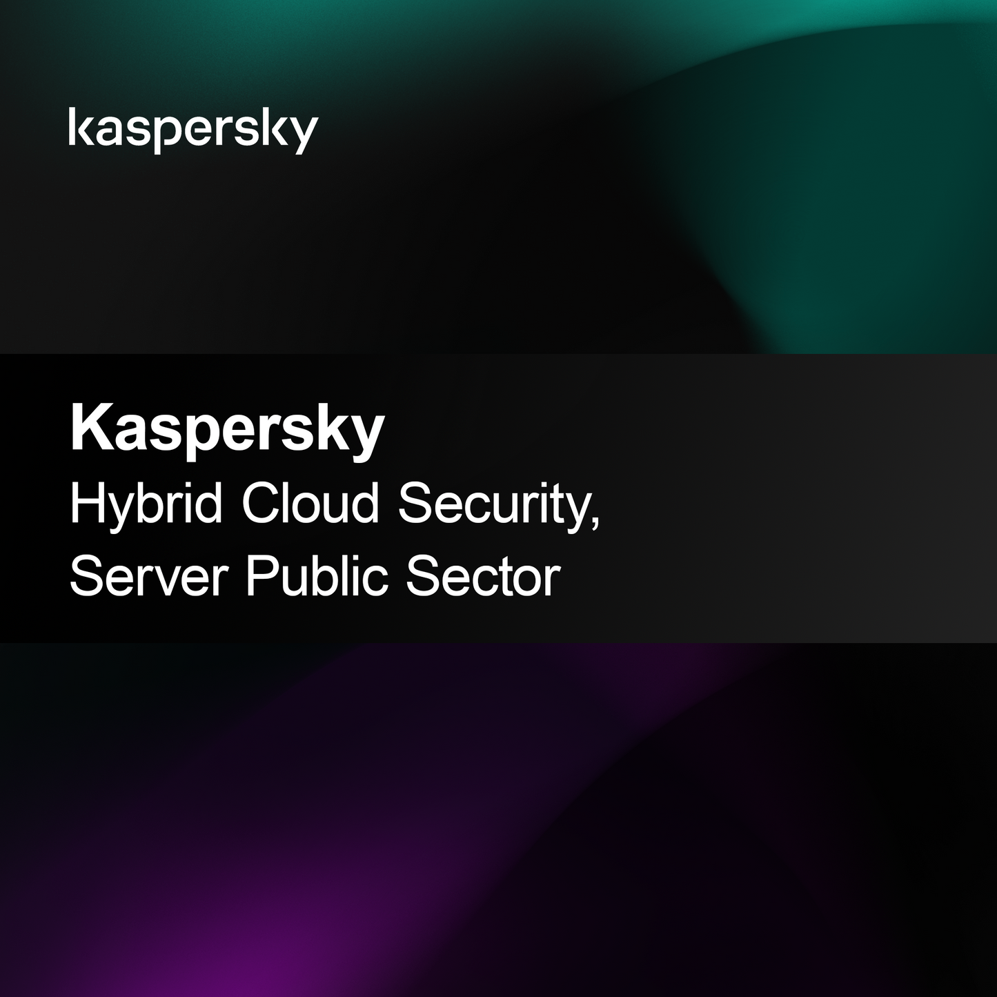 Kaspersky Υβριδική Ασφάλεια Νέφους, Δημόσιος Τομέας Διακομιστών